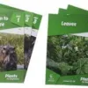 Plants for Beginners workbooks- God's Design - set of 7