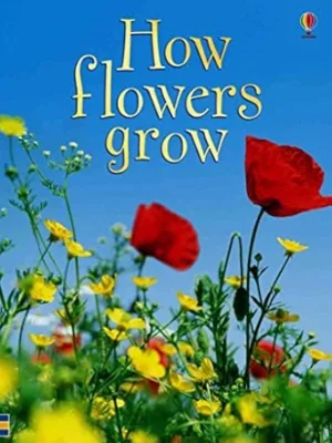 Usborne Beginners Nature Books (Set of 5)