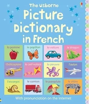 The Usborne Picture Dictionary In French