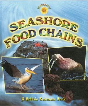 Food Chains Series - Forest, Prairie, Seashore - Set of 3